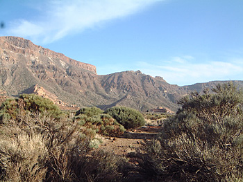 Teide Kraterlandschaft Canadas