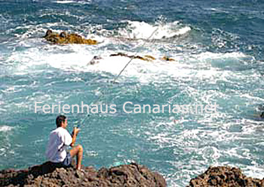 Fishing Tenerife