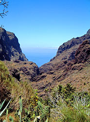 Masca