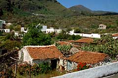 Tamaimo