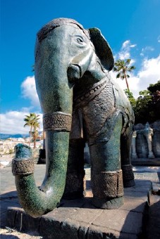 Thai Elefant im Siam Park