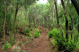 Tenerife Anaga gebergte