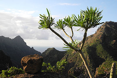 Anaga Gebirge auf Teneriffa