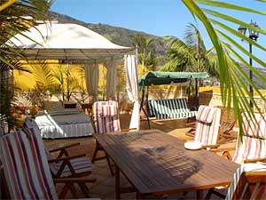 Apartment in einer Ferienanlage in Icod de los Vinos - Blick auf die Terrasse