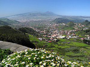 Blick auf den grünen Norden Teneriffas