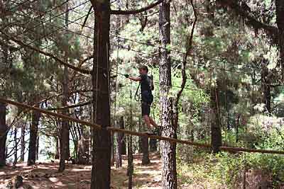Forestal Park Teneriffa