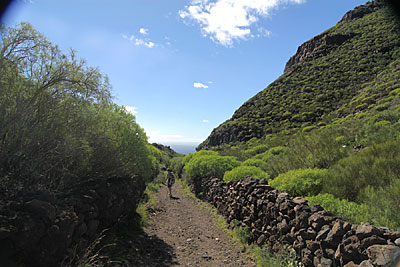 teno gebirge