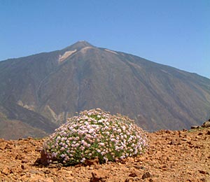 Pico del Teide