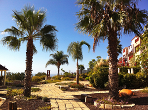 San Miguel De Abona Im Suden Fewos Ferienhauser Fincas Mit Pool