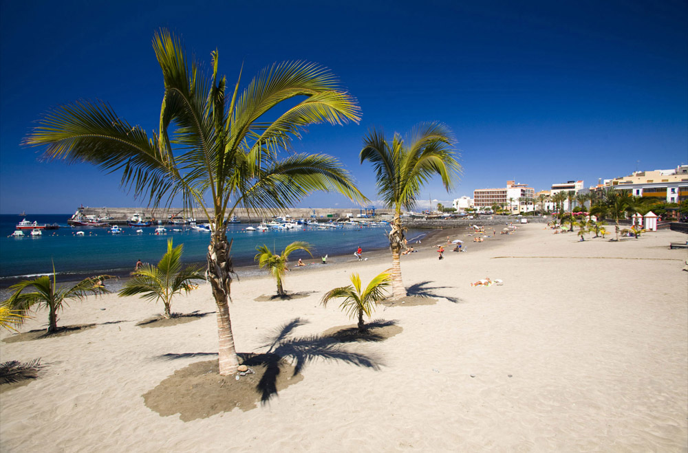 Strand mit Palmen in Playa San Juan auf Teneriffa