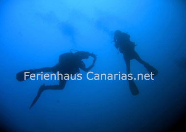 Diving Tenerife