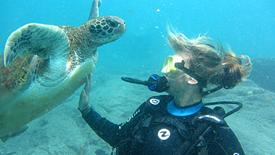 Taucher auf Teneriffa mit Schildkröte