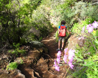 Wandern auf Teneriffa