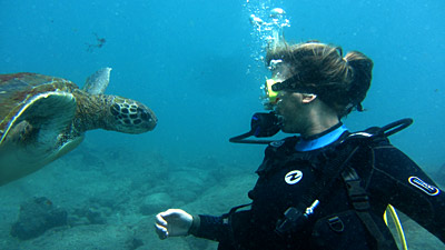 Taucher auf Teneriffa