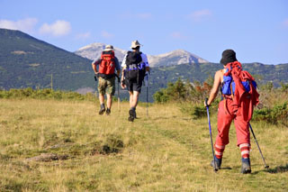 Wandergruppe auf Teneriffa