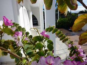Cottage near the Sea with large Terraces in quiet Location - Palm Mar