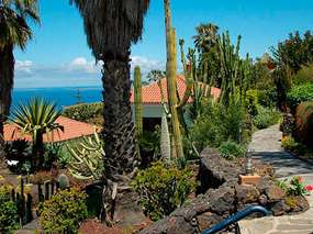 Finca with garden & pool / Chalet 1