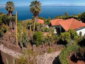 Small chalet in tropical garden, with sea view & solar heated community pool / Tenerife