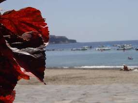 Ambiente