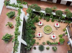 Gemeinschaftsterrasse