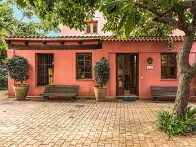 Tacoronte/ Finca 2