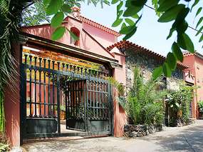 Tacoronte | Finca 3