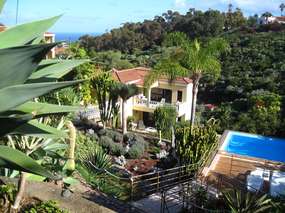 Atico-Fewo 2- Urlaub auf Finca-Oase, tropischer Garten, Pool, WLAN - Lomo Roman /Pto. Cruz