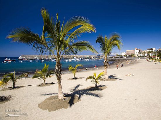 Tenerife Apartment For 4 People In Playa San Juan