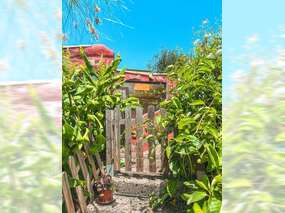 Blick aufs Haus