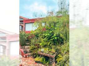 Blick aufs Haus