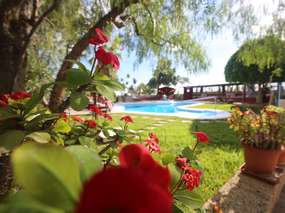 Kleines Ferienhäuschen "Casita Patio | Finca La Paz" - Pool & Garten im Süden