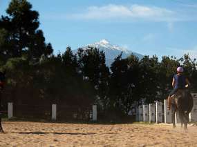 Ambiente