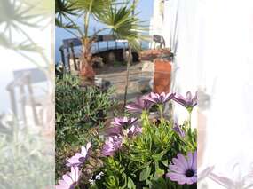 Gemütliches Ferienhäuschen mit kanarischem Charme, Terrasse und Balkon