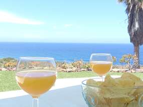 Ferienwohnung mit Meer-& Bergblick auf malerischer Finca bei Garachico