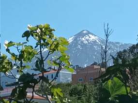 Aussicht