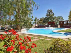 Ferienwohnung "Palmera" auf Fincaoase mit Pool, WLAN, Safe, Grill / sonniger Süden Teneriffa