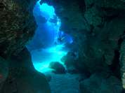 Tauchen auf Teneriffa - Basalt Katetrale