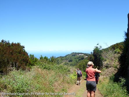 Wanderung im Mercedeswald La Esperanza