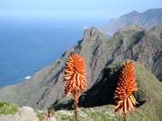 Gran Canaria - Tolle Küstenblicke