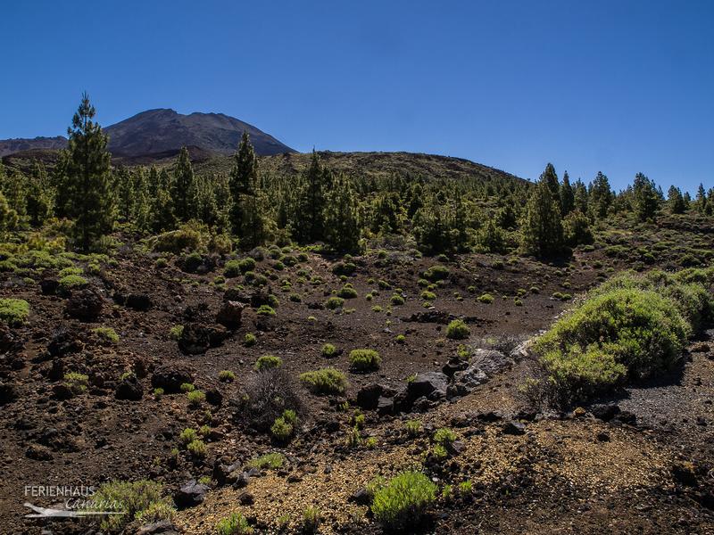 Teide - Caldera