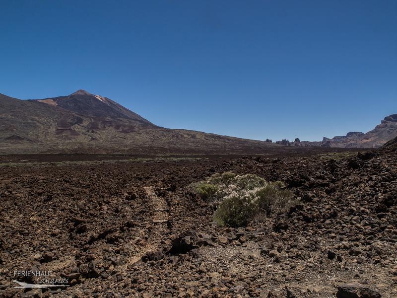 Parque Nacional del Teide