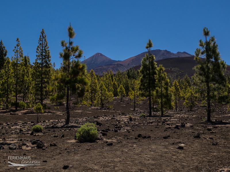 Naturlandschaft El Teide