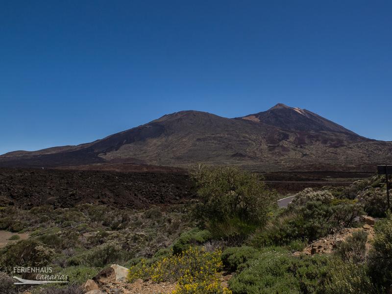 Die Canadas del Teide