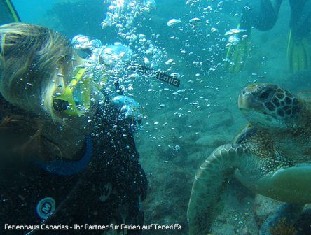 Tenerife Tauchen... Diving in el Medano
