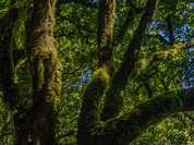 Blick in den Märchenwalt bei Esperanza