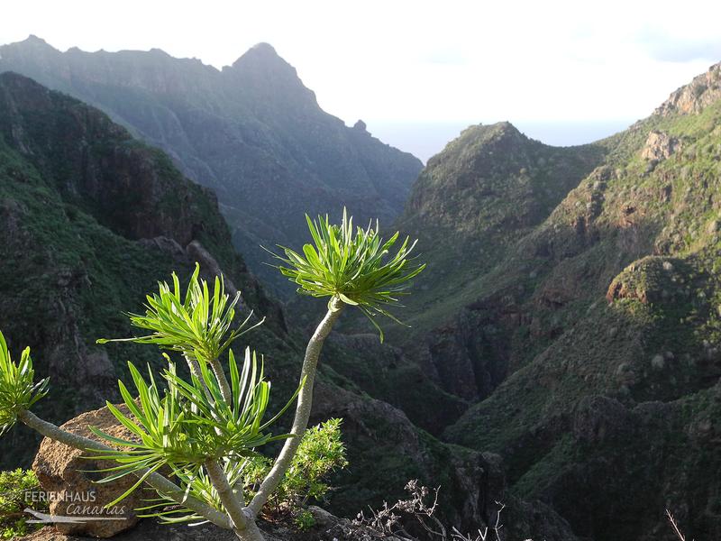 Wanderwelt Anagagebirge