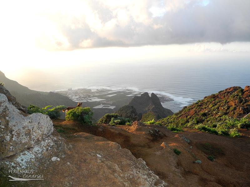 Bizarres Tenogebirge
