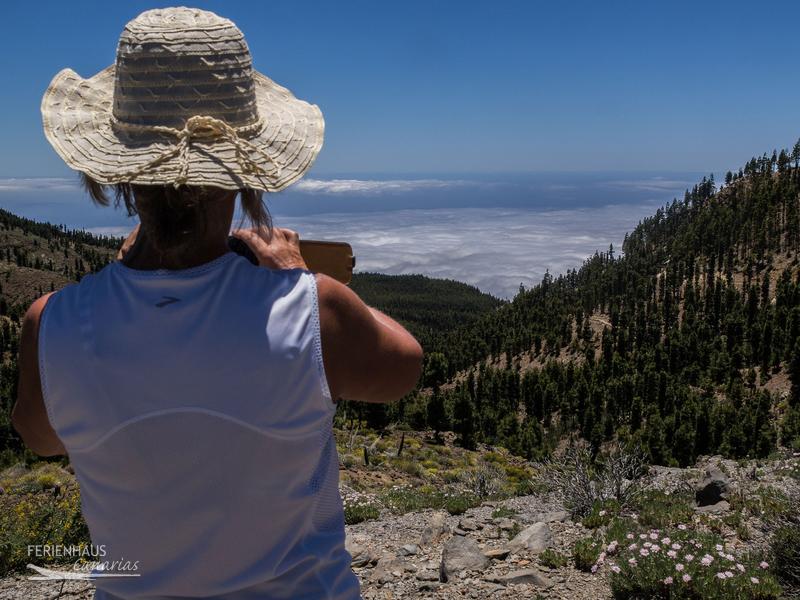 Eine Wanderin im Teide Park blick auf die Wolkende Eine Wanderin im Teide Park blick auf die Wolkende