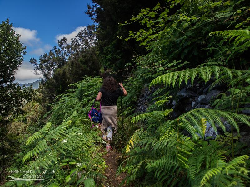 Wanderunge im Esperanzawald Wanderunge im Esperanzawald