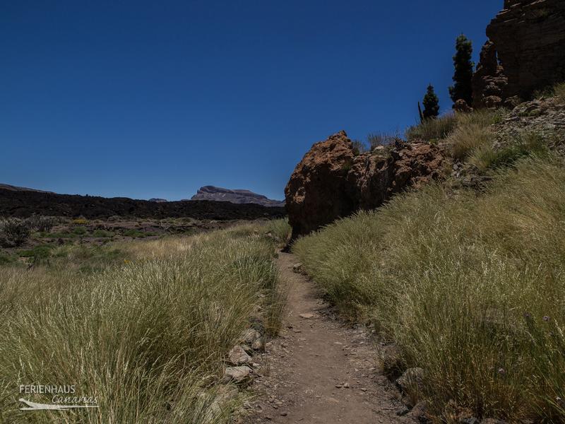 Blick in die Canadas del Teide Blick in die Canadas del Teide